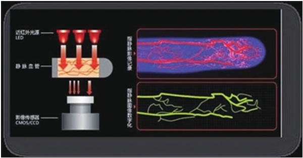 指靜脈識別:雖小眾卻更精準(zhǔn)