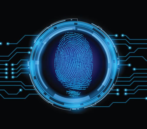 ָ�y�R(sh��)�e