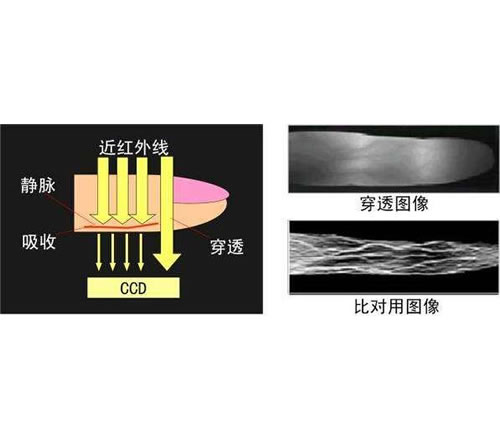 ָ�o�}�R(sh��)�e